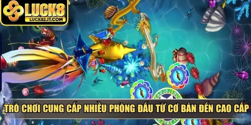 Trò chơi cung cấp nhiều phòng đấu từ cơ bản đến cao cấp