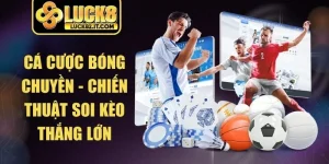 Cá Cược Bóng Chuyền