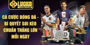 Cá Cược Bóng Đá
