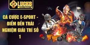Cá Cược E-Sport