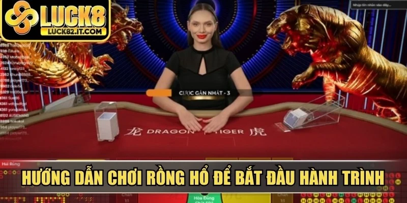 Hướng dẫn chơi rồng hổ để bắt đầu hành trình tìm kiếm vận may 