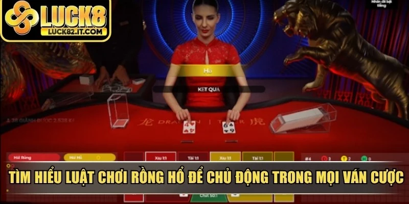 Tìm hiểu luật chơi rồng hổ để chủ động trong mọi ván cược